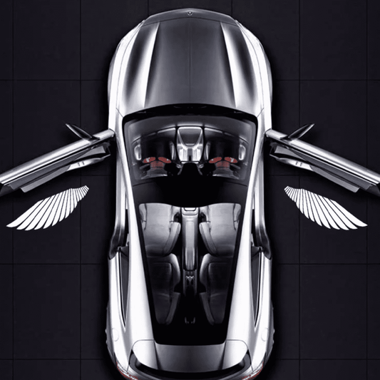 Angel Wing Car Door Lights